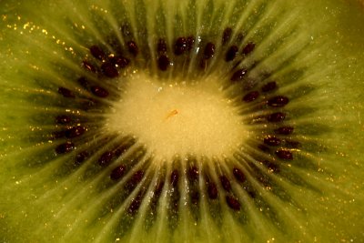 Kiwi Fruit