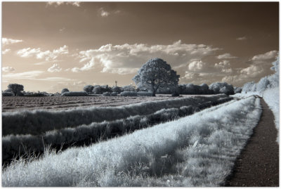 The Howardian Hills AONB and The North York Moors in IR