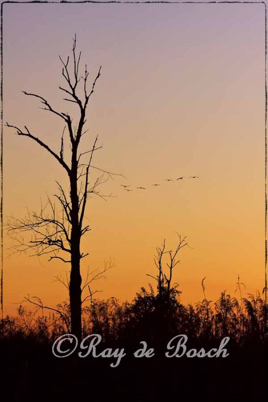 Sunset at Haenhle Bird Sanctuary