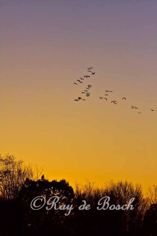 Sunset at Haenhle Bird Sanctuary
