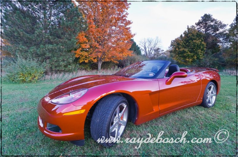 Vette Fever