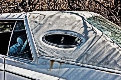 Lincoln Continental