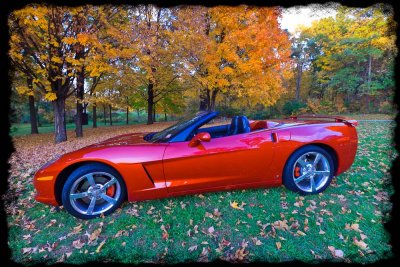 Corvette Autumn