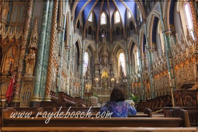 Basilica de Notre Dame of Ottawa
