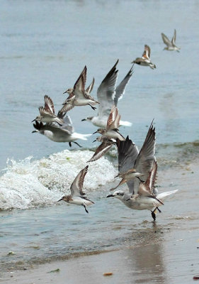 Various, in-flight