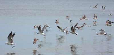 Various, in-flight