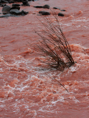 Hurricane Irene Aftermath, Maplecrest, NY, September 2011