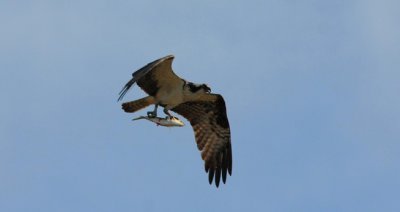 IMG_6122RS.JPG