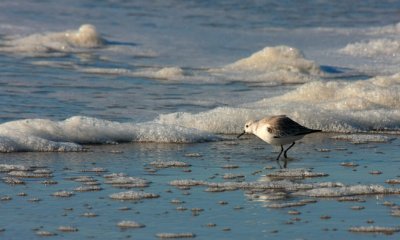 IMG_7754RS.JPG