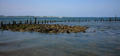 IMG_1228RS.JPG