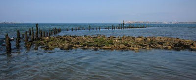 IMG_1240RS.JPG