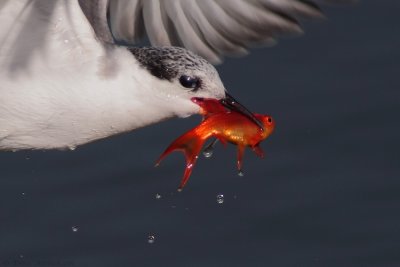 IMG_5034.jpg