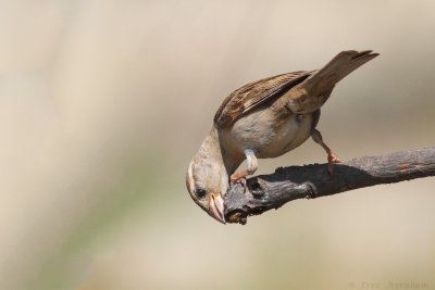IMG_6213.jpg