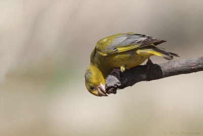 IMG_6286.jpg