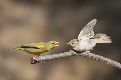 IMG_9081.jpg