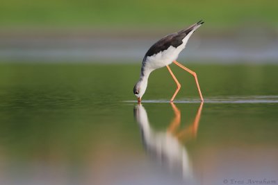 IMG_5698.jpg