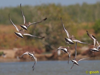 111220-LPB-1229a.jpg