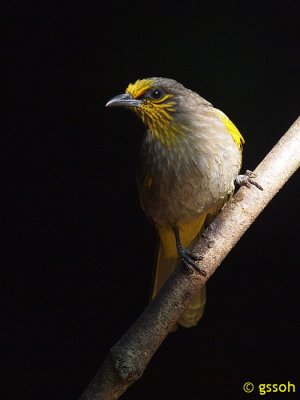 111219-KKC-1324a.jpg