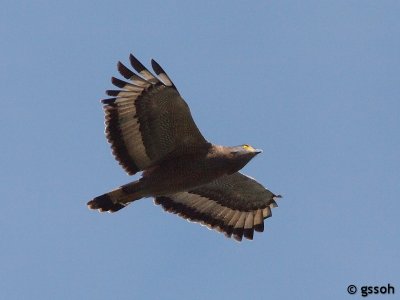 111222-KY-618a.jpg