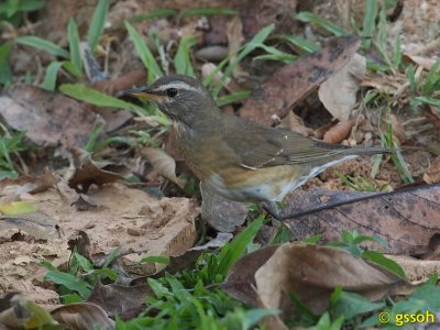 111218-KKC-321a.jpg