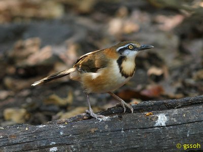 111219-KKC-1837a.jpg