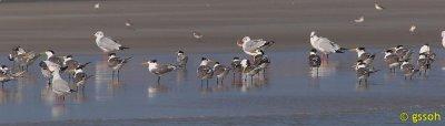 111220-LPB-2369a.jpg