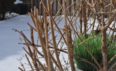  9 wrapped in Winter