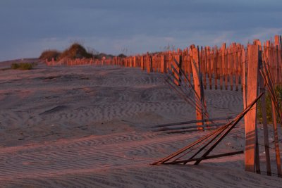 Challenge: Seashore - July 15, 2011