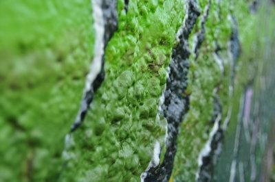 DSC_9197_resize.JPG