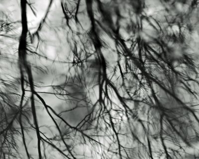 Spooky puddle reflection