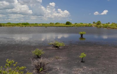 Meritt Island