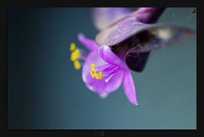 0002