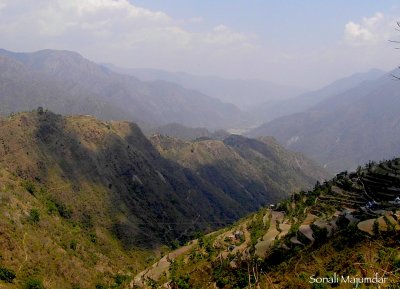 Rolling hills of Ranikhet, North India.jpg