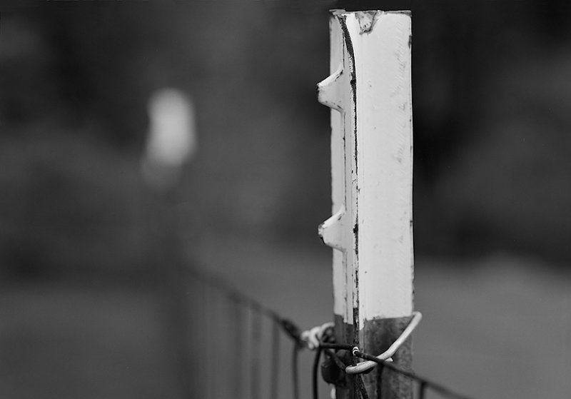 Fence Post Early Morning