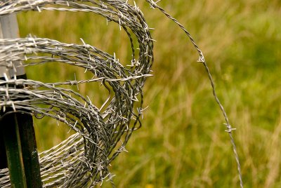 Stringing Barbed Wire