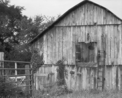 Barn on Cheesy Creek