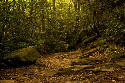 The Trail to Brush Falls