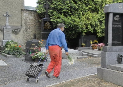 Graves 2006