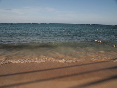 P4210624_s.jpg