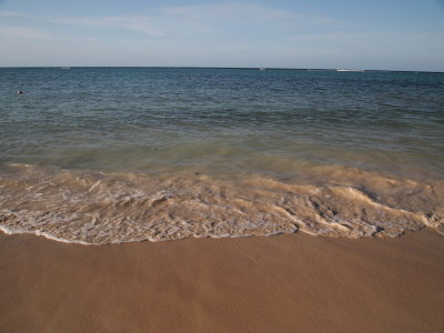 P4210626_s.jpg