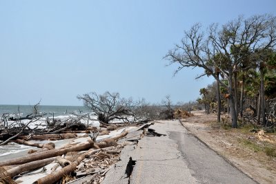 Hunting Island