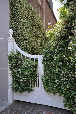 DSC_0116a.jpg