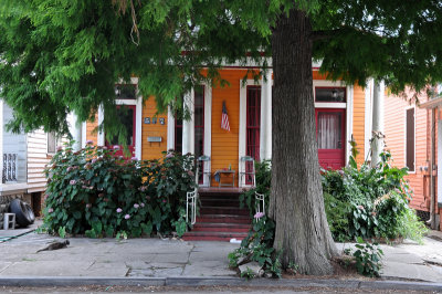 DSC_0546a.jpg