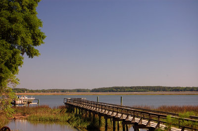 DSC_0252a.jpg