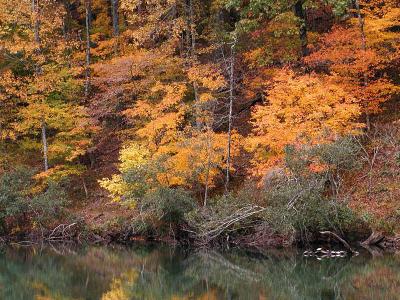 Oak Mountain State Park