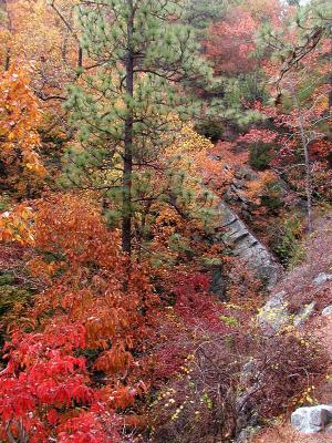 Oak Mountain State Park