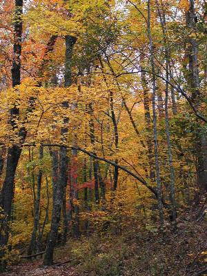 Oak Mountain State Park