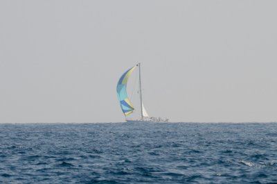 n1586 One single yacht sailing in opposite direction