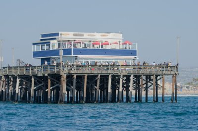 n2221 Newport Pier Restaurant