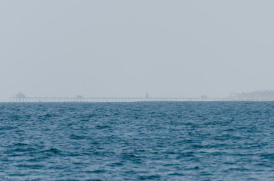 n2224 Huntington Pier afar